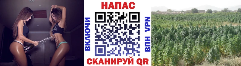 Где продают наркотики Кочубеевское КОКАИН  СОЛЬ  Мефедрон  Гашиш  АМФ  Галлюциногенные грибы  Канабис 