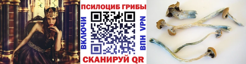 Галлюциногенные грибы Psilocybine cubensis  где купить наркоту  Кочубеевское 